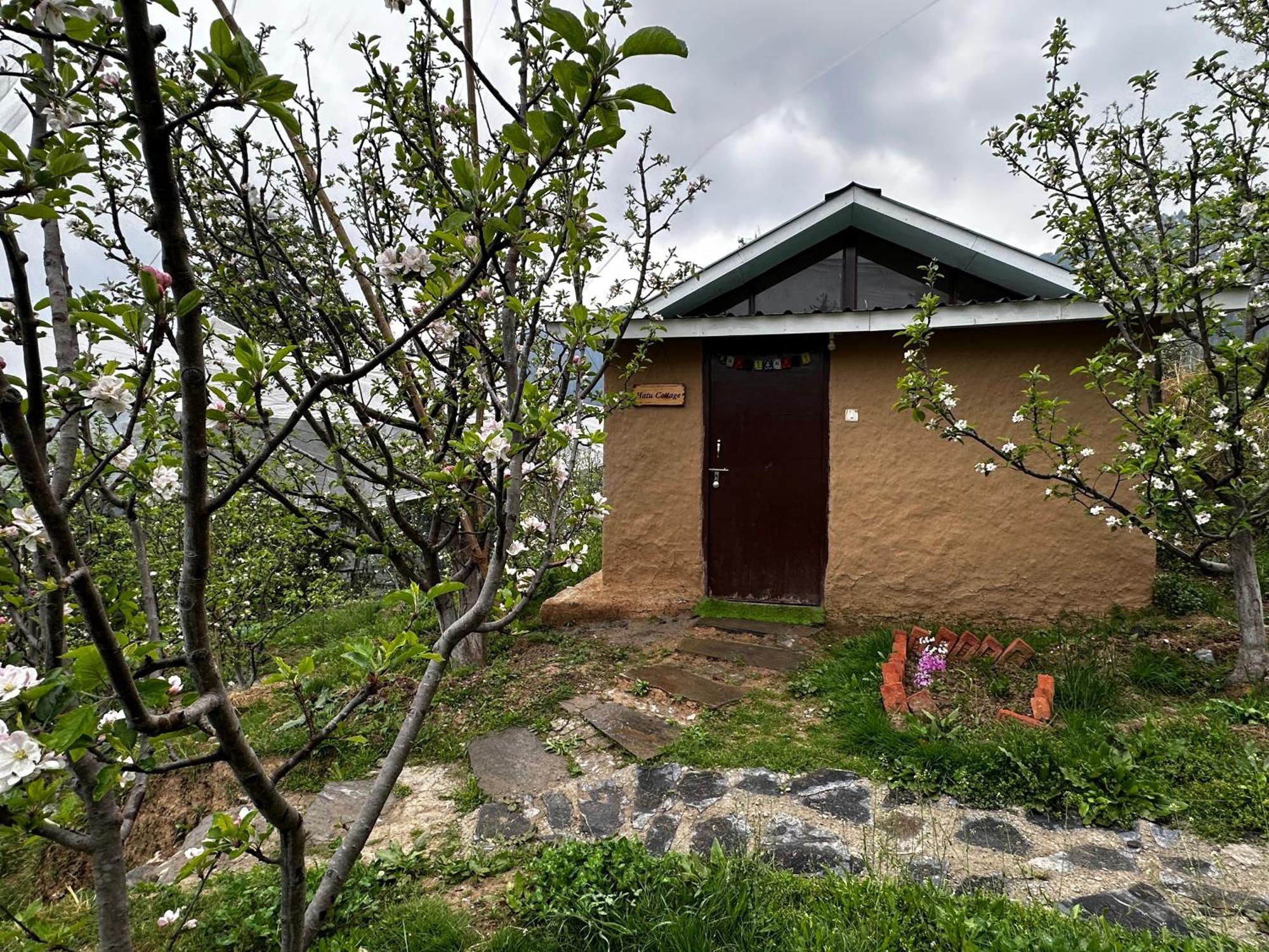 Hotel Daak Bangla Retreat Kufri Esterno foto