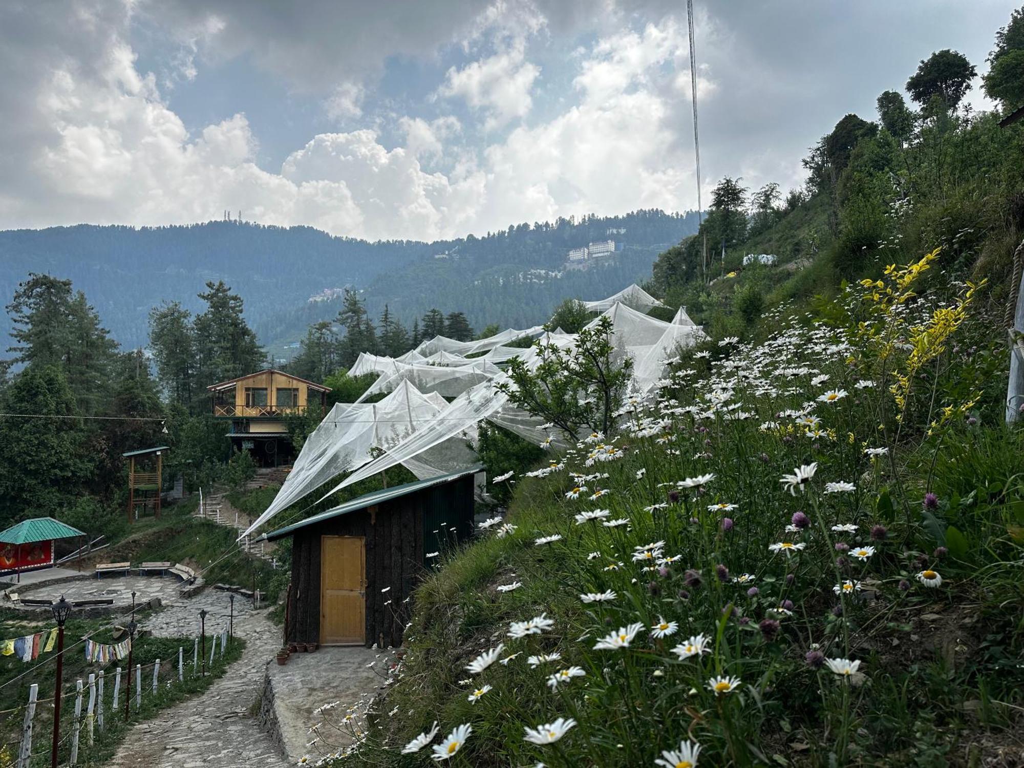 Hotel Daak Bangla Retreat Kufri Esterno foto