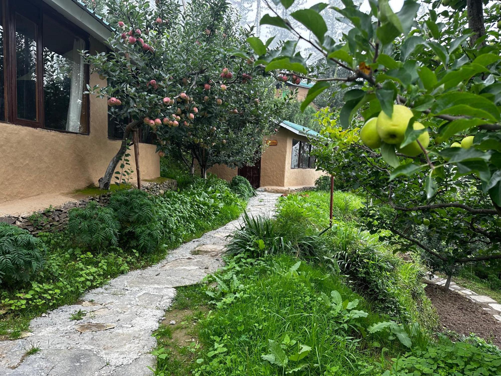 Hotel Daak Bangla Retreat Kufri Esterno foto